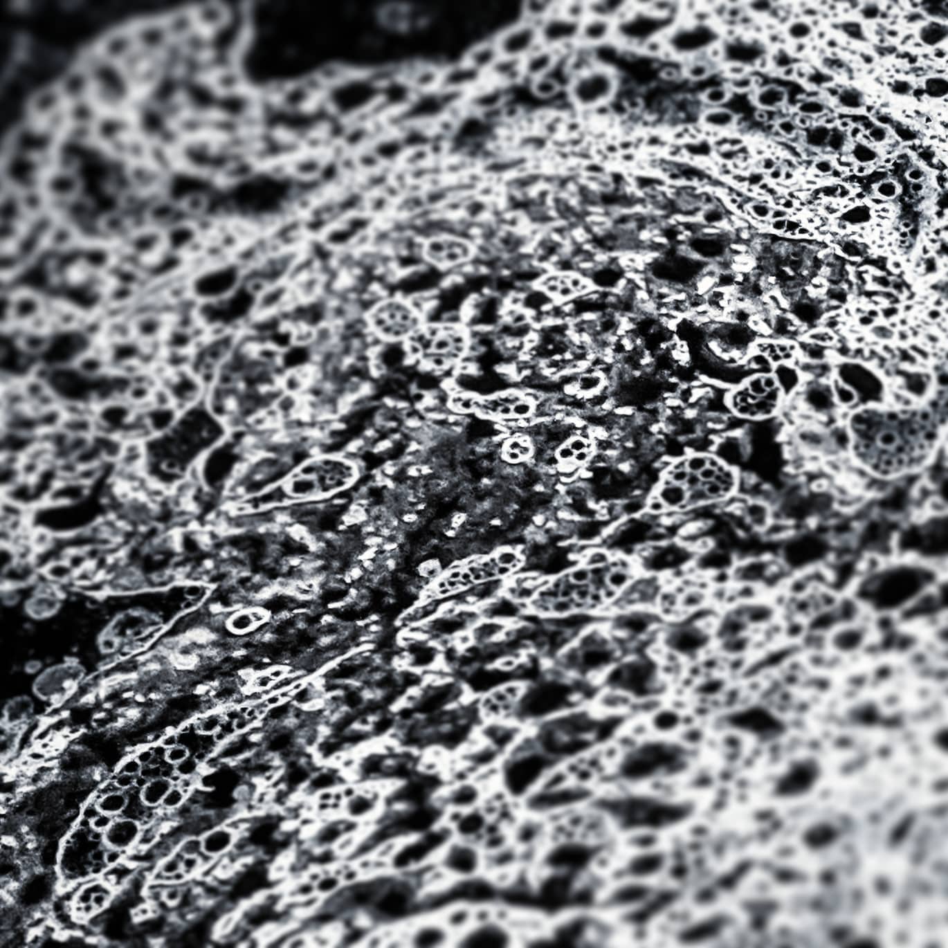 Textural Landscape Imagery: A Blind Person's Perspective - Gaming ...