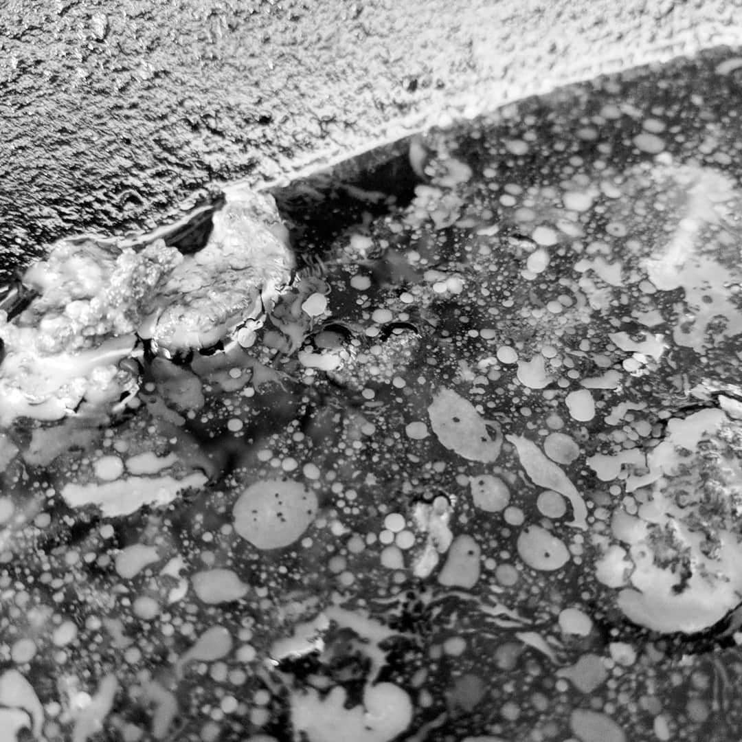 Arte y Grasa Series: Visualizing Beauty in the Mundane